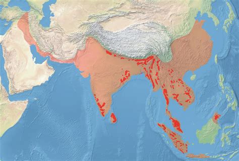 asian elephant historic range